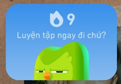 Cười ngất với ảnh chế linh vật Duolingo- Ảnh 8.