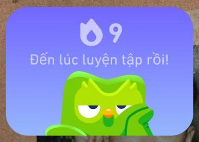 Cười ngất với ảnh chế linh vật Duolingo- Ảnh 11.