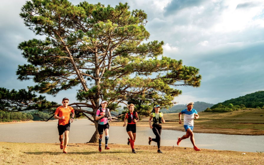 LamdongTrail chạy giữa mùa dã quỳ rực rỡ - Ảnh 4.