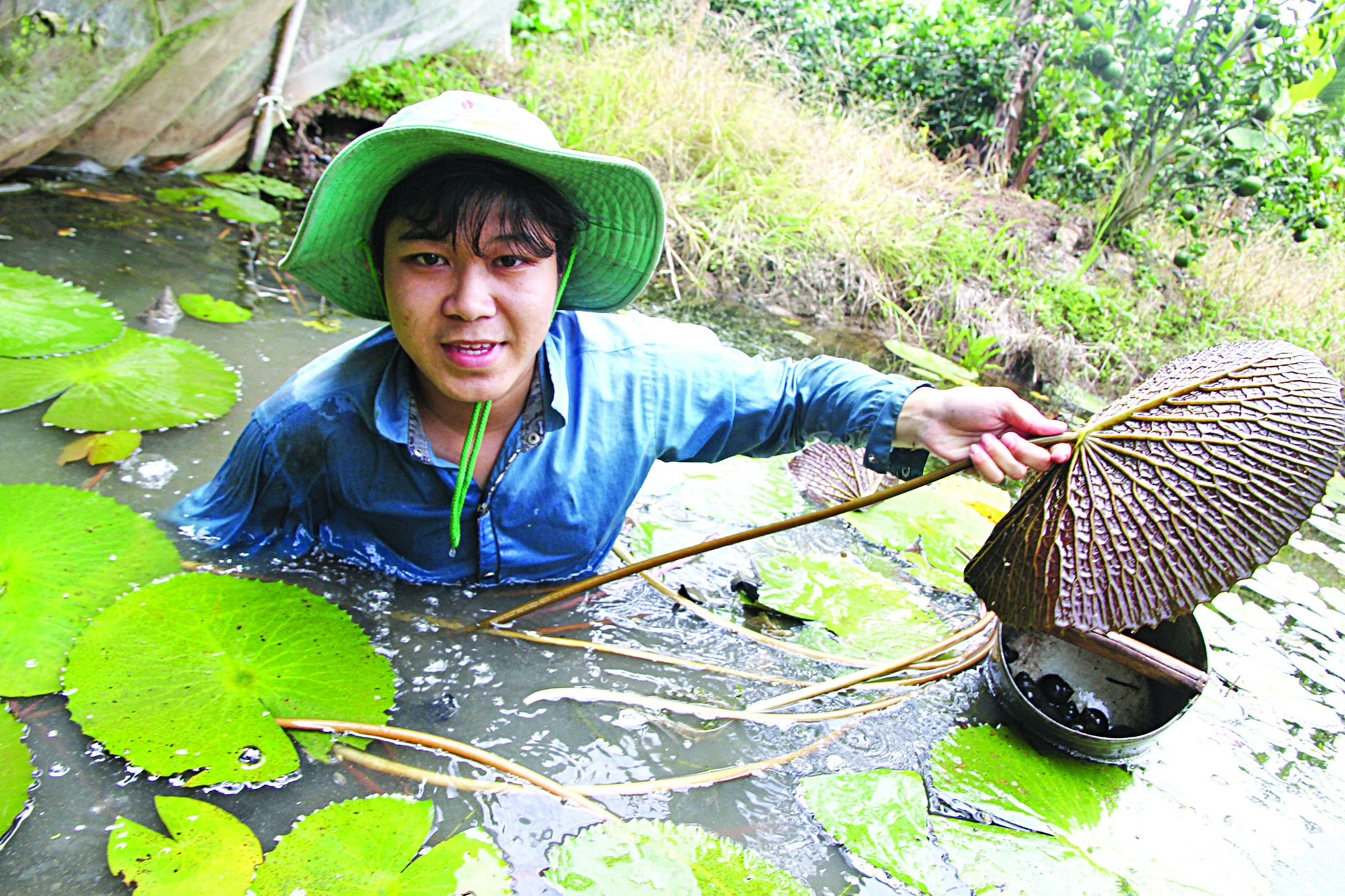 Bui Chi Cong (Phong Hoa Commune, Lai Vung District, Dong Thap), new pharmacy student at Can Tho University of Medicine and Pharmacy (2018), lives with his grandparents since childhood, every day he goes fishing and picking snails Goes water lily for additives.  Family.  Catch 3 - 5 kg of peacocks per day, selling for 10,000 - 15,000 VND/kg - Photo: CHI QUOC