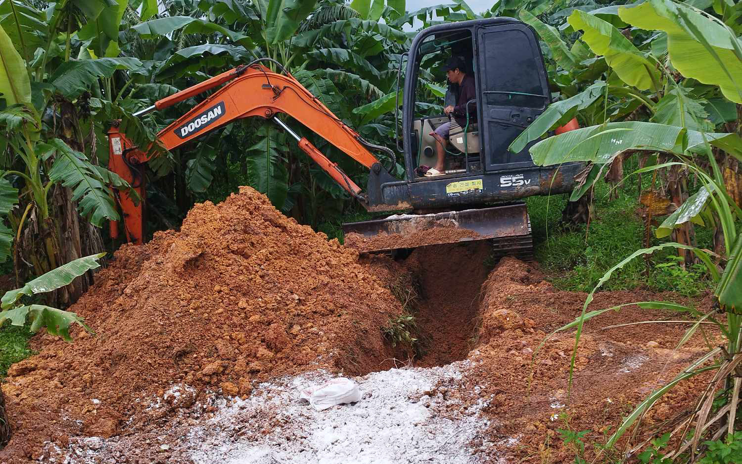 Nghệ An kêu gọi người dân không 'quay lưng' với thịt heo- Ảnh 5. Dịch tả heo châu Phi lây lan rộng, Quảng Trị thiếu hóa chất dập dịch