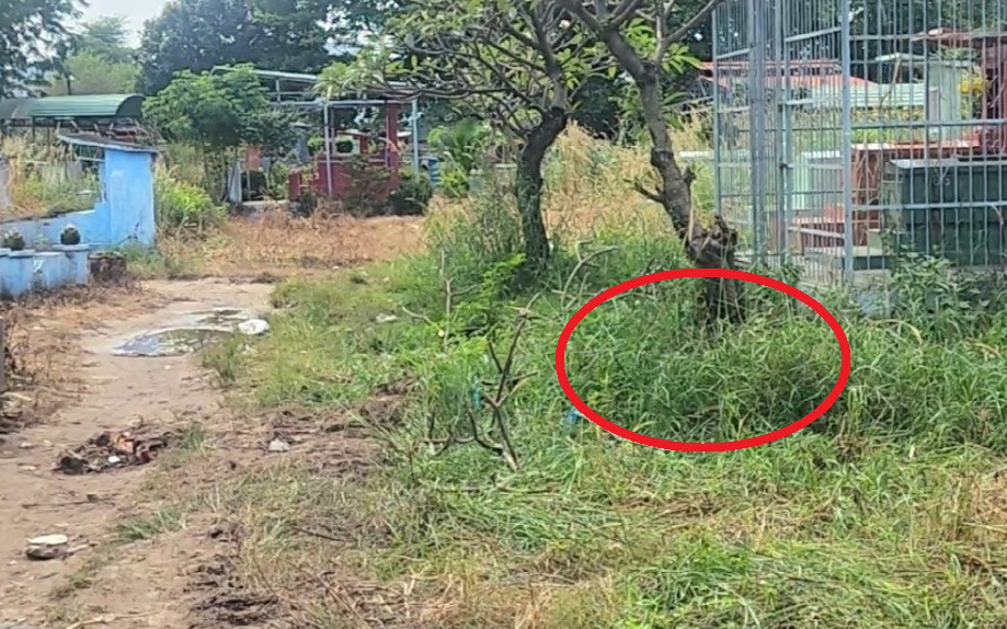Bắt nghi phạm liên quan vụ hài cốt trong bể nước bỏ hoang- Ảnh 2. Phát hiện thi thể người đàn ông trong nghĩa trang Bình Hưng Hòa