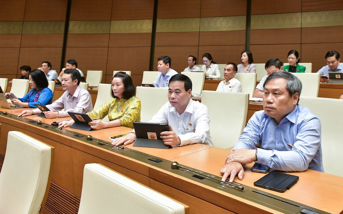 TP.HCM lập tổ bảo vệ an ninh, trật tự tại mỗi khu phố- Ảnh 2. Quốc hội chính thức thông qua luật về lực lượng an ninh cơ sở