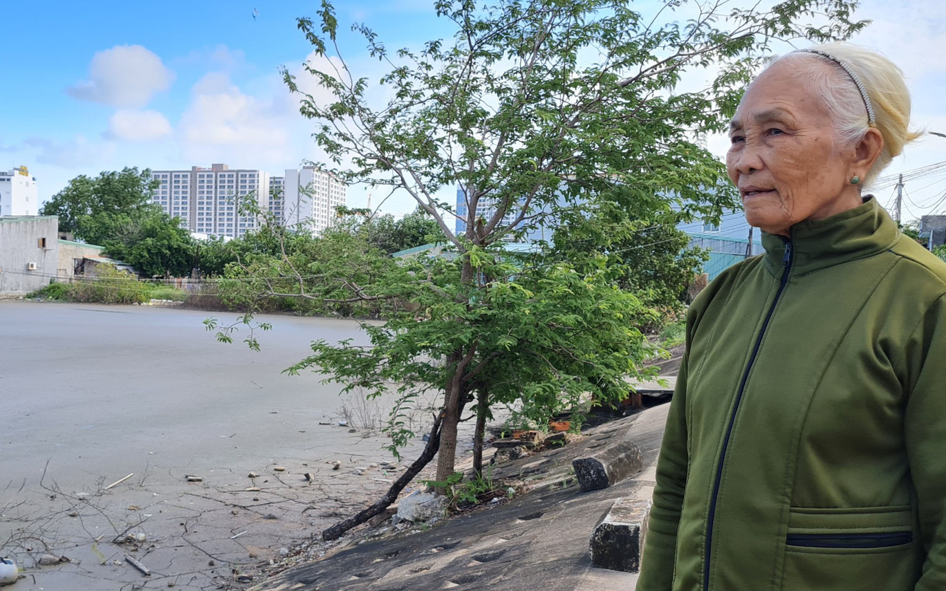 Vụ 'sông chết vì bùn đất': Hoàn thành nạo vét, sông lại thông thoáng- Ảnh 2. Sông 'chết' vì bùn đất
