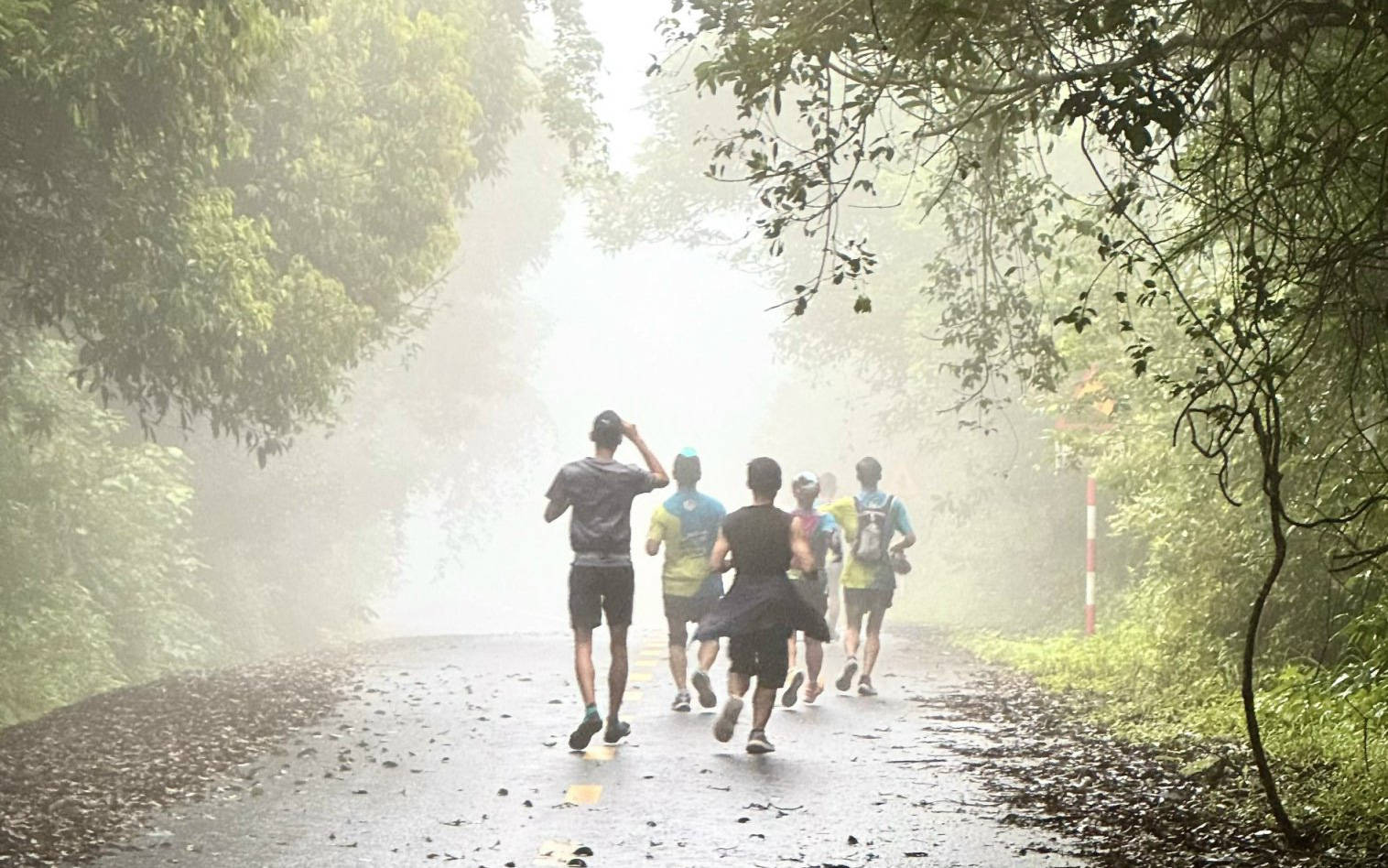 ‘Cây sậy’ Lê Hằng 365 ngày chạy dài hơn đường kính Trái đất- Ảnh 10. Đà Nẵng lần đầu có giải chạy lên núi Sơn Trà