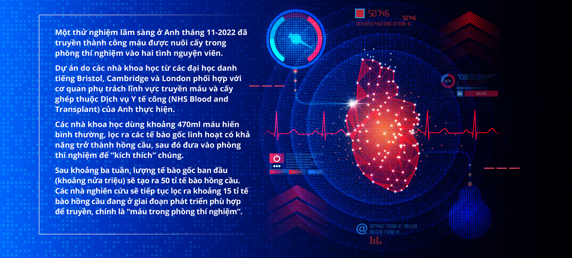 Thiếu máu: Trăm sự tại cái túi đựng?- Ảnh 16.