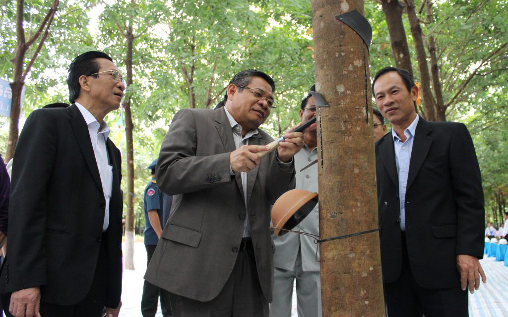 Kỳ tích cao su Việt Nam trên đất Campuchia - Kỳ 1: Niềm tin với người Việt