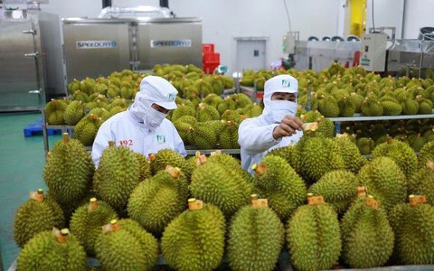 Tổng bí thư Nguyễn Phú Trọng hội đàm với Tổng bí thư, Chủ tịch nước Tập Cận Bình- Ảnh 3. Trung Quốc là đối tác thương mại lớn nhất của Việt Nam, kim ngạch 11 tháng hơn 155 tỉ USD