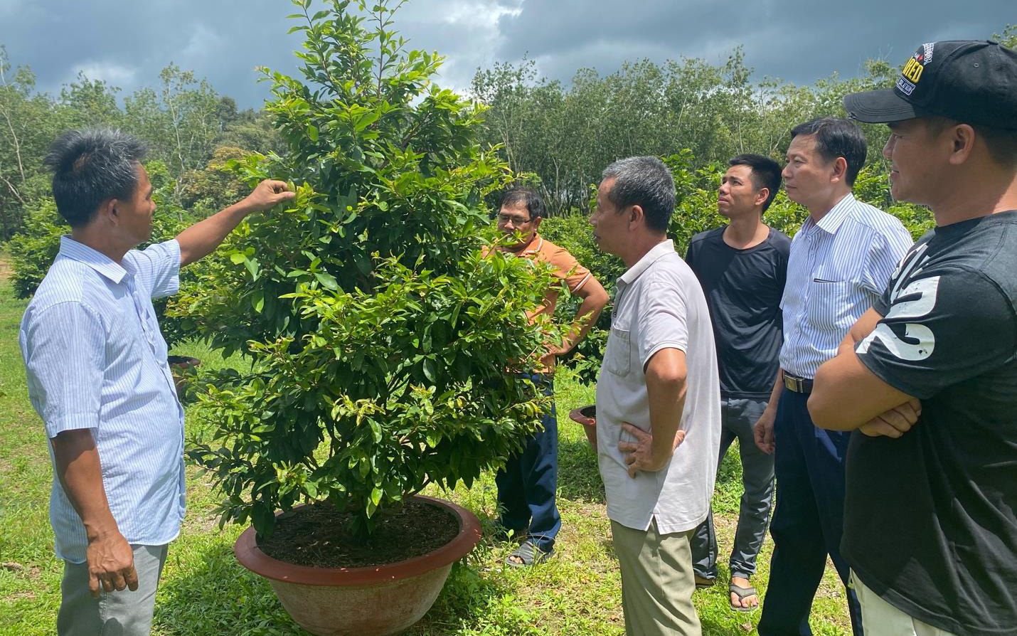 150 lãnh đạo hợp tác xã được tập huấn bán hàng trên sàn thương mại điện tử - Ảnh 3.