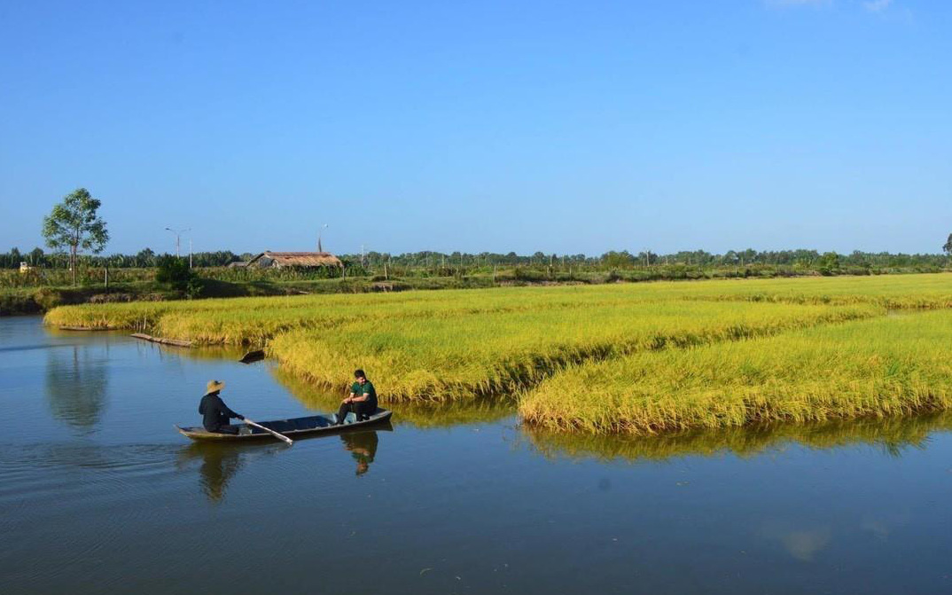 Yêu thương gói ghém trong mùi dầu gió Thiên Thảo- Ảnh 3. Hành trình xây dựng thương hiệu gạo hữu cơ Hoa Nắng