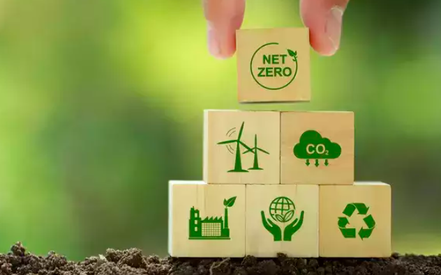 Bán tín chỉ carbon, có tỉnh đạt tương đương thu từ doanh nghiệp FDI- Ảnh 2. Việt Nam đang bán lúa non tín chỉ carbon giá bèo