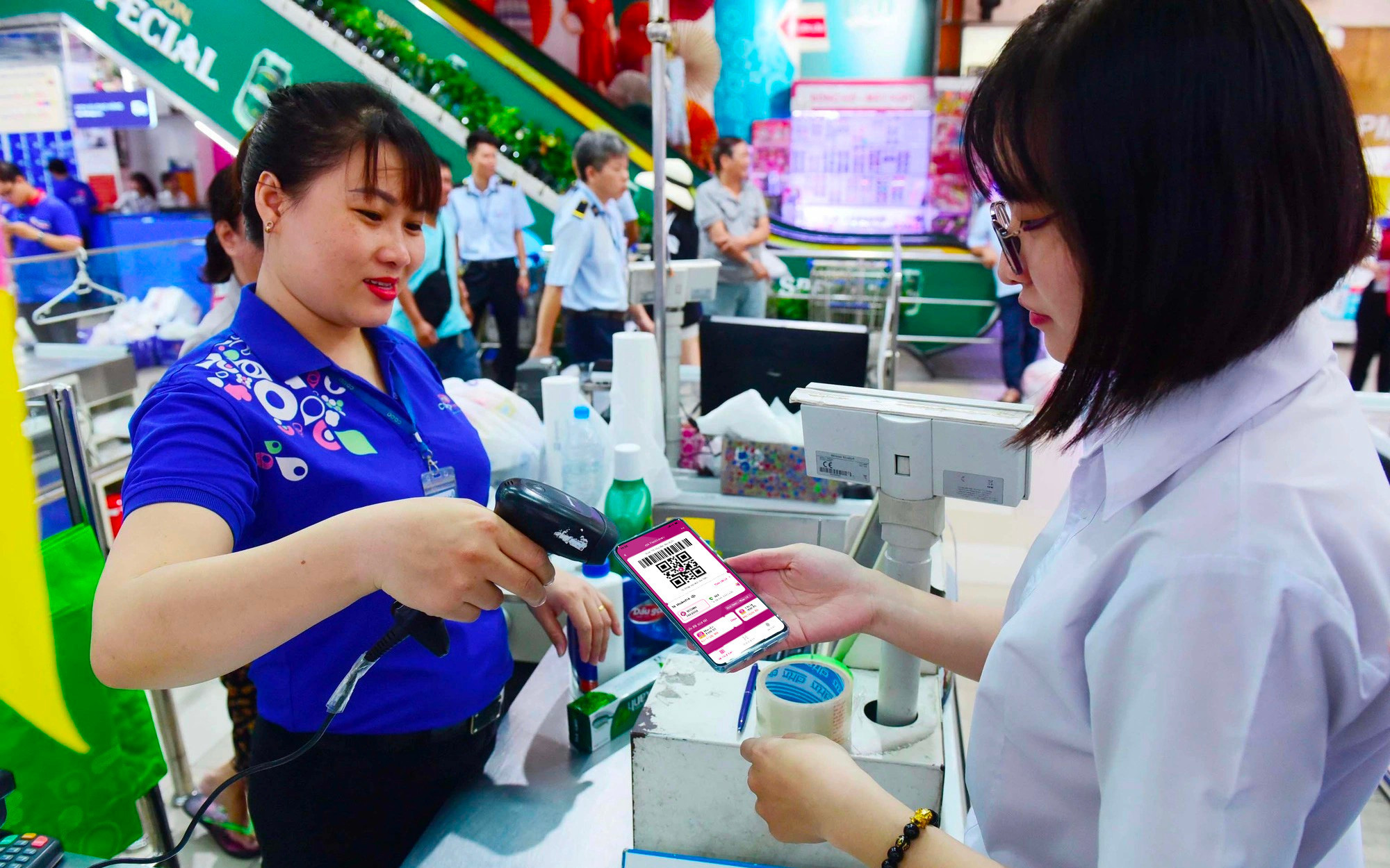 'Cam sành rớt giá thê thảm, nông dân miền Tây chia bịch bán sỉ, nhìn mà thương' - Ảnh 2.
