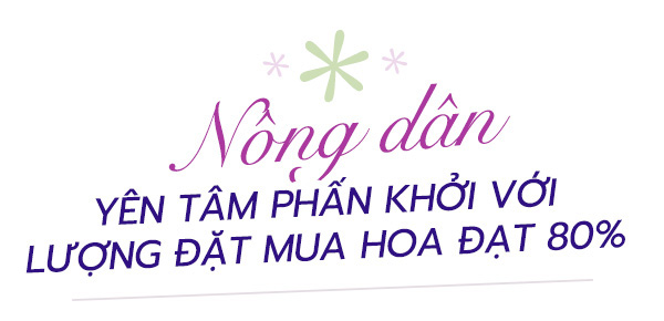 Hàng ngàn giỏ cúc mâm xôi nhiều màu cung ứng Festival hoa kiểng Sa Đéc- Ảnh 3.