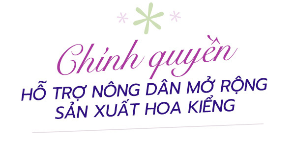 Hàng ngàn giỏ cúc mâm xôi nhiều màu cung ứng Festival hoa kiểng Sa Đéc- Ảnh 6.