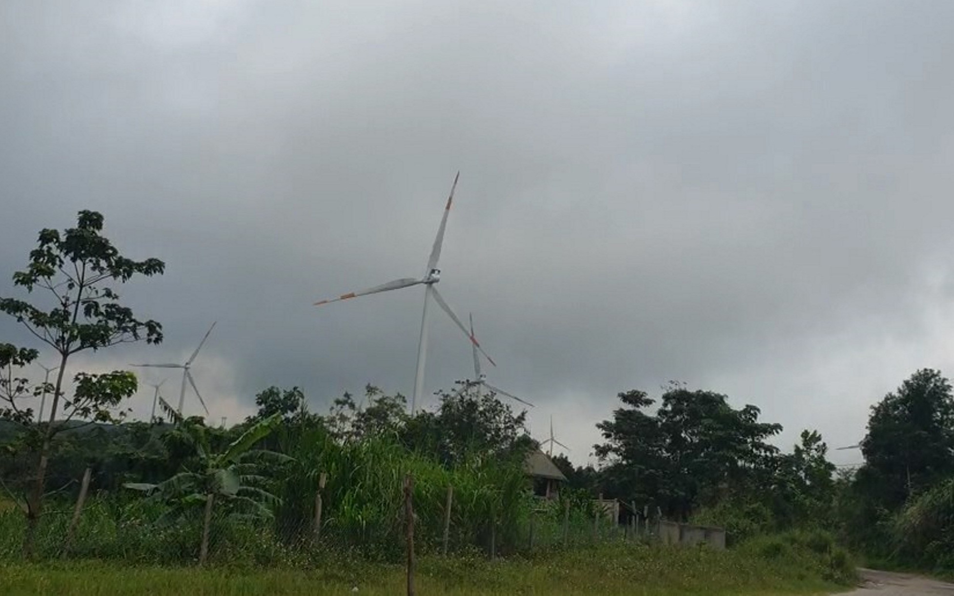 Vì sao Quảng Trị chậm đưa ra giải pháp xử lý 21 trụ điện gió trồng sai chỗ?- Ảnh 2. Chưa nghiệm thu, hai nhà máy điện gió vẫn được cấp phép vận hành thương mại