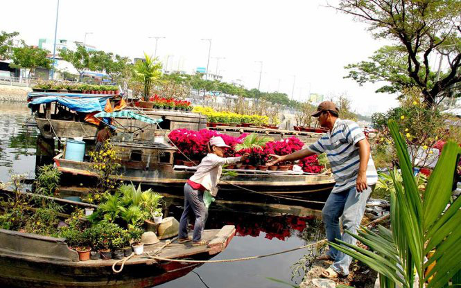 Đón Tết 3 miền rực rỡ ngay tại thủ đô với đường hoa Home Hanoi Xuan 2024- Ảnh 4. TP.HCM sẽ mua hoa không bán được của tiểu thương Bến Bình Đông trang trí đường hoa
