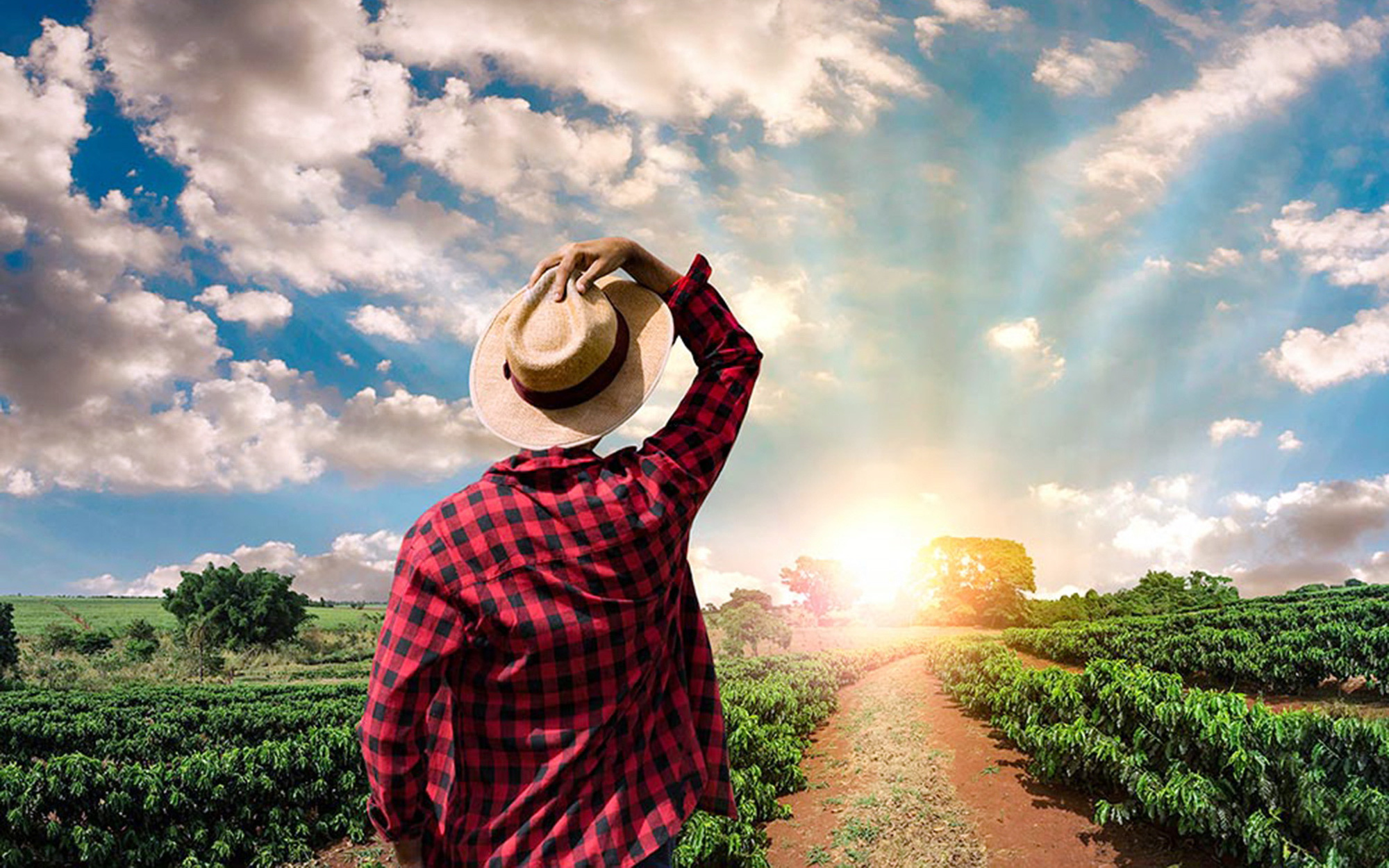 Những người từ chối thành phố - Kỳ 2: Dân làng đi xe ngựa, trồng rau, bị đồn... trộm cắp- Ảnh 2. Những người từ chối thành phố - Kỳ 1: Gia đình sống tự cung tự cấp ở Mỹ