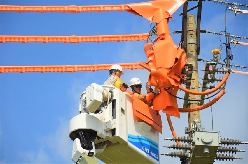 PC Đắk Nông ưu tiên cung ứng điện phục vụ sản xuất hàng tết