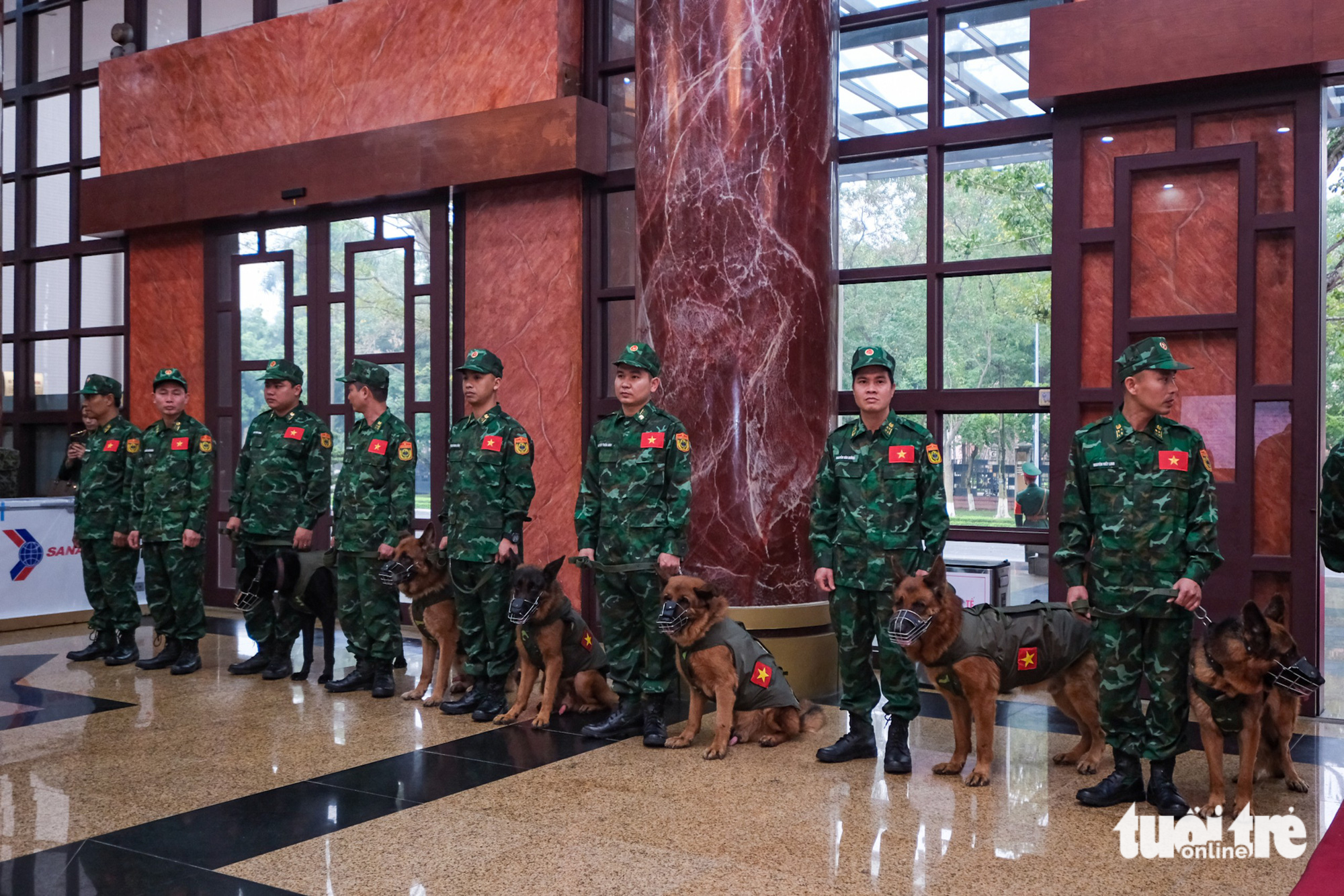 Đội Chó nghiệp vụ tìm kiếm cứu nạn thuộc Bộ Tư lệnh Bộ đội Biên phòng - Ảnh: NAM TRẦN