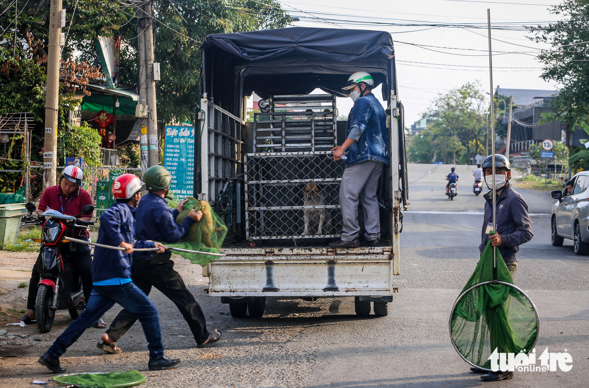 Thấy đội bắt chó thả rông, chủ ôm chó ‘tháo chạy’ - Ảnh 7.