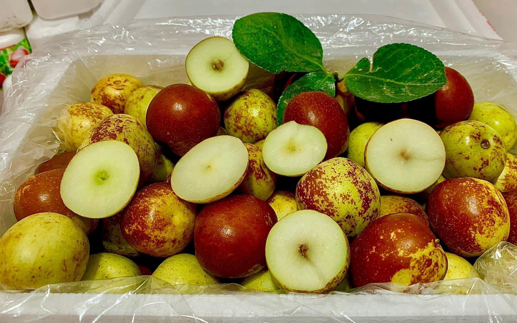 Cẩn thận mắc sỏi táo dạ dày - ruột vì ăn táo đỏ bổ dưỡng