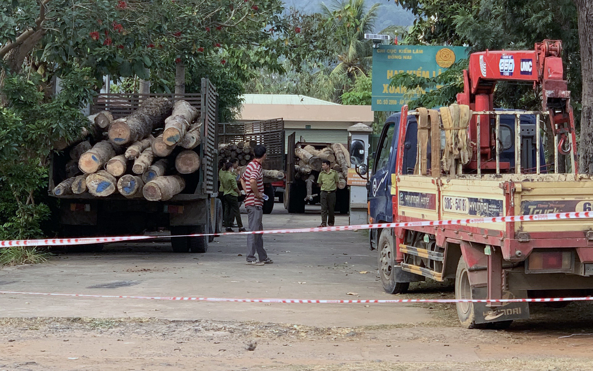 Khởi tố vụ án phá rừng phòng hộ tại Đồng Nai