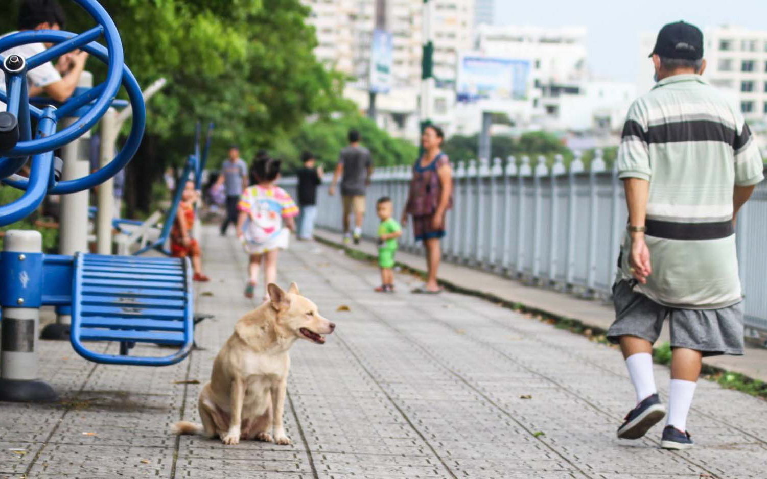 Chó tấn công người: Xử lý hình sự chủ nuôi được không?