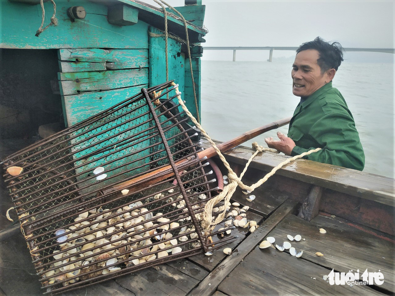 Hàng chục tấn ngao chết trắng trên bãi biển Cồn Vạn - Ảnh 1.