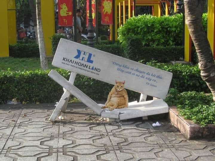 Ảnh vui 28-2: Tuyển nhân viên phục vụ TOEIC 800, IELTS 8.0 - Ảnh 6. Ảnh vui 28-2: Tuyển nhân viên phục vụ TOEIC 800, IELTS 8.0 - Ảnh 6.