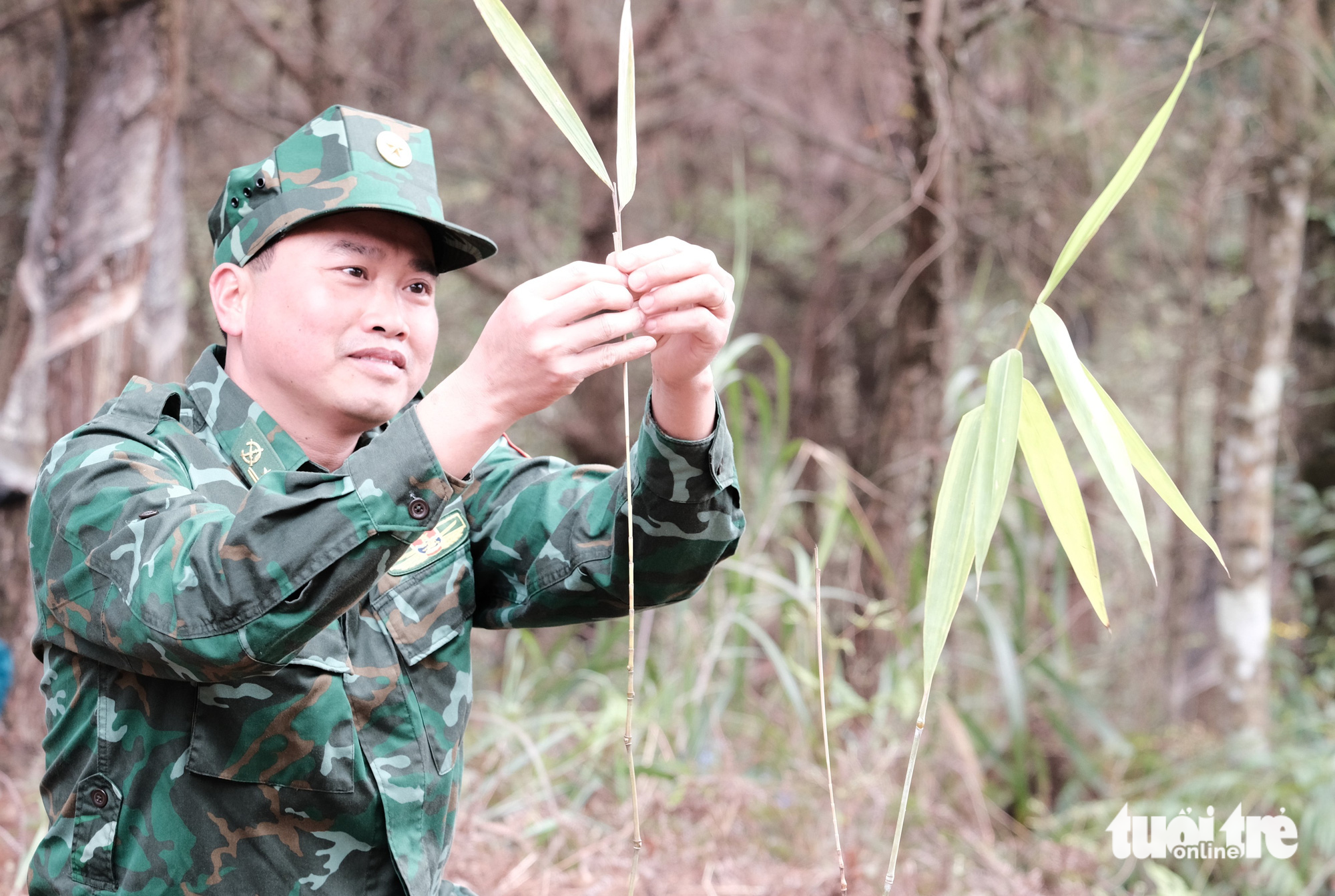 Lũy tre Việt làm hàng rào mềm, dựng thành lũy xanh biên giới - Ảnh 3.
