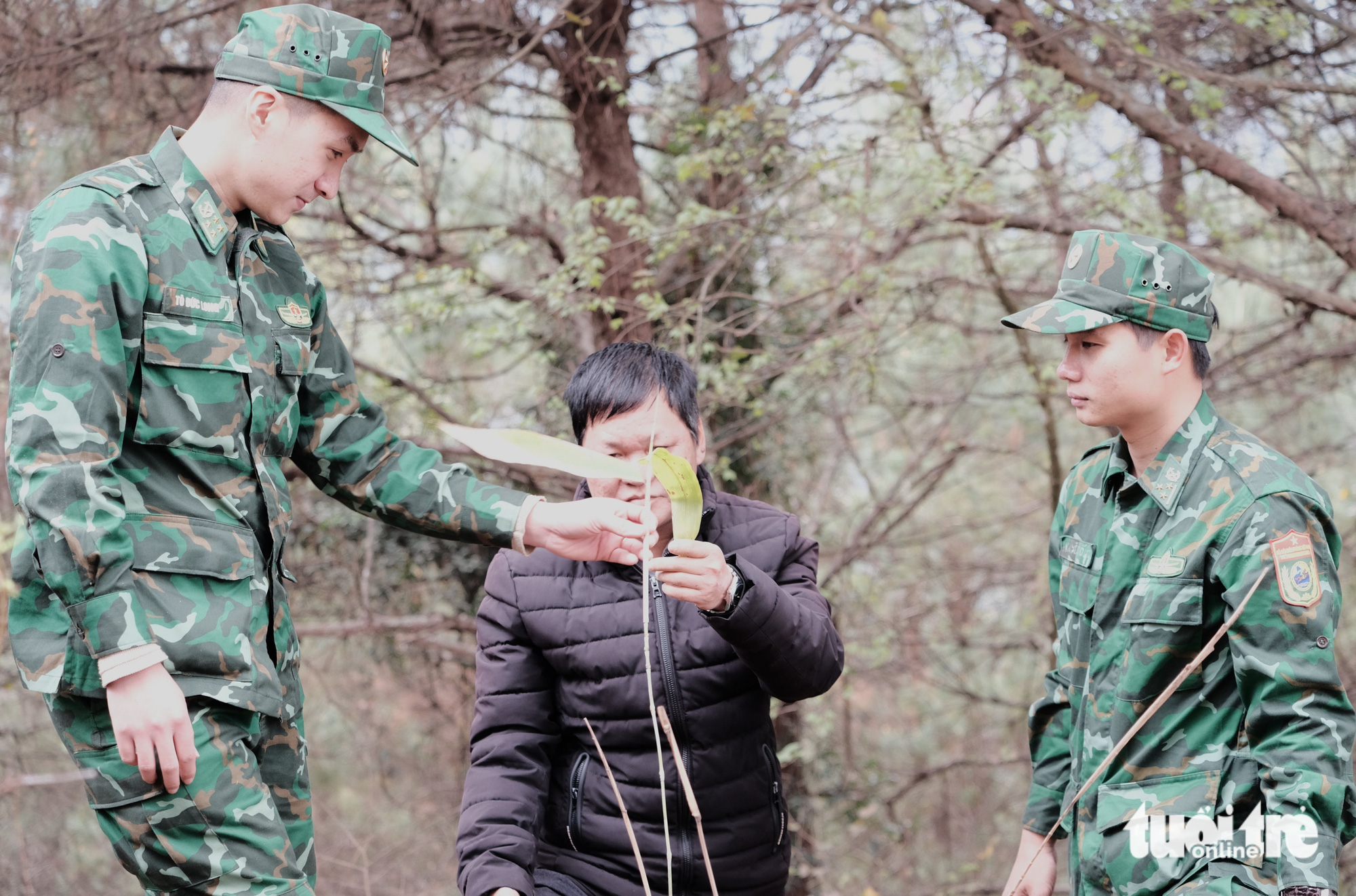 Lũy tre Việt làm hàng rào mềm, dựng thành lũy xanh biên giới - Ảnh 4.