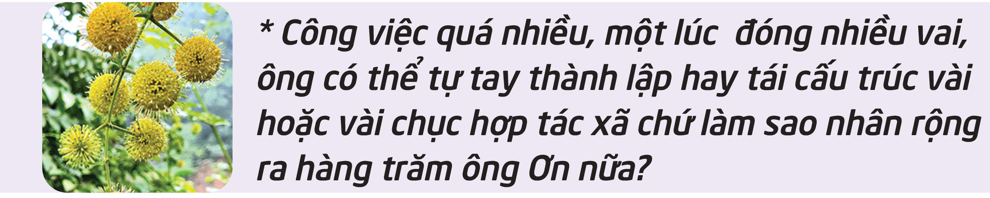 Người nhìn thấy một miền núi không nghèo - Ảnh 6.