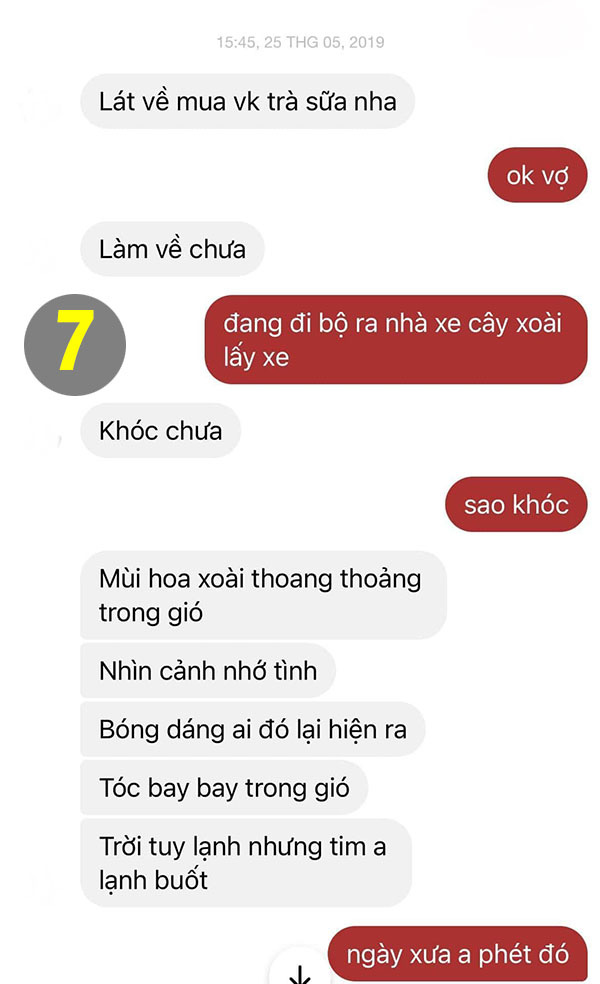Lỡ dại kể chuyện tình cũ bên cây xoài, chồng bị vợ cà khịa suốt đời - Ảnh 7. Lỡ dại kể chuyện tình cũ bên cây xoài, chồng bị vợ cà khịa suốt đời - Ảnh 7.