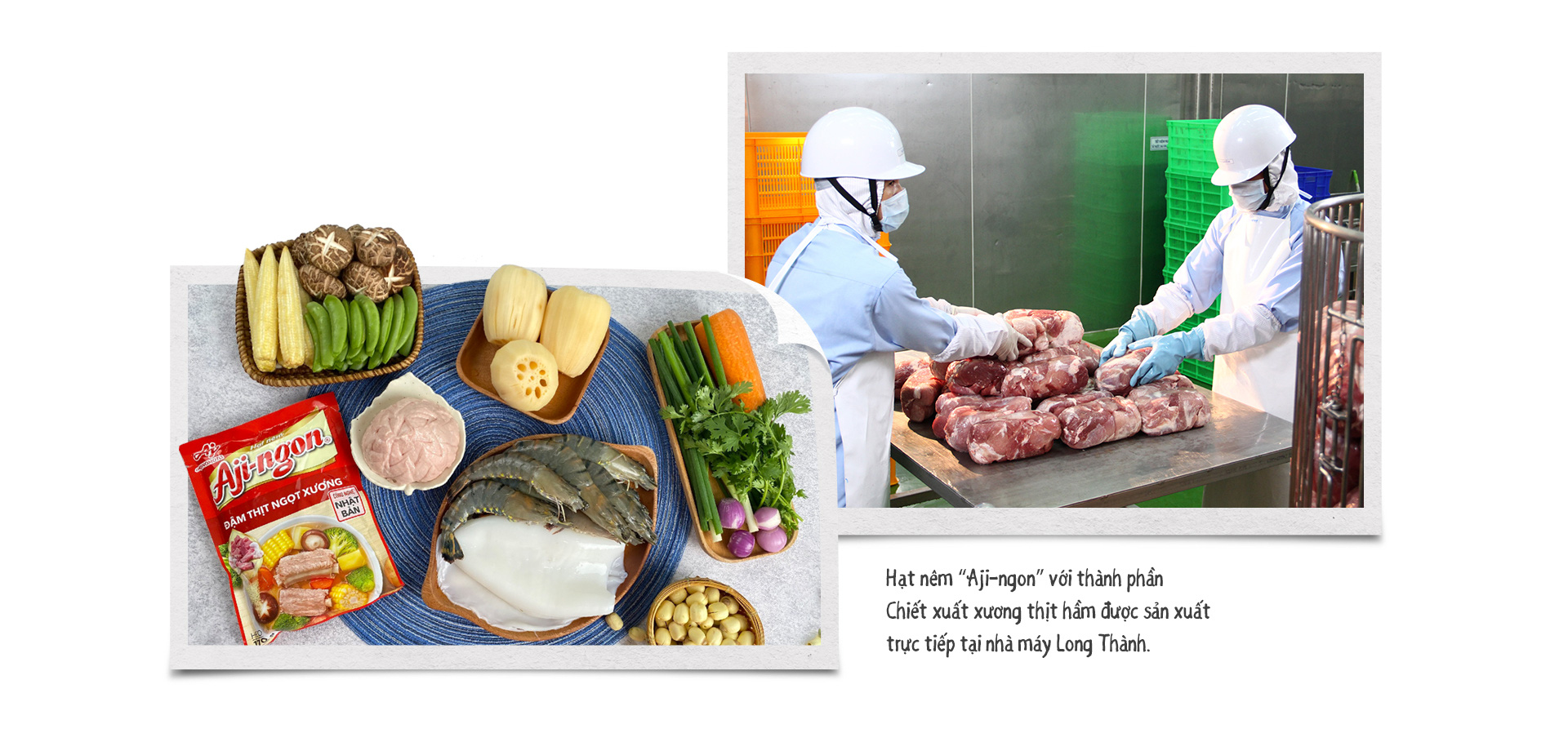 Ajinomoto đóng góp cho sức khoẻ và hạnh phúc người Việt thông qua giáo dục, dinh dưỡng - Ảnh 7.