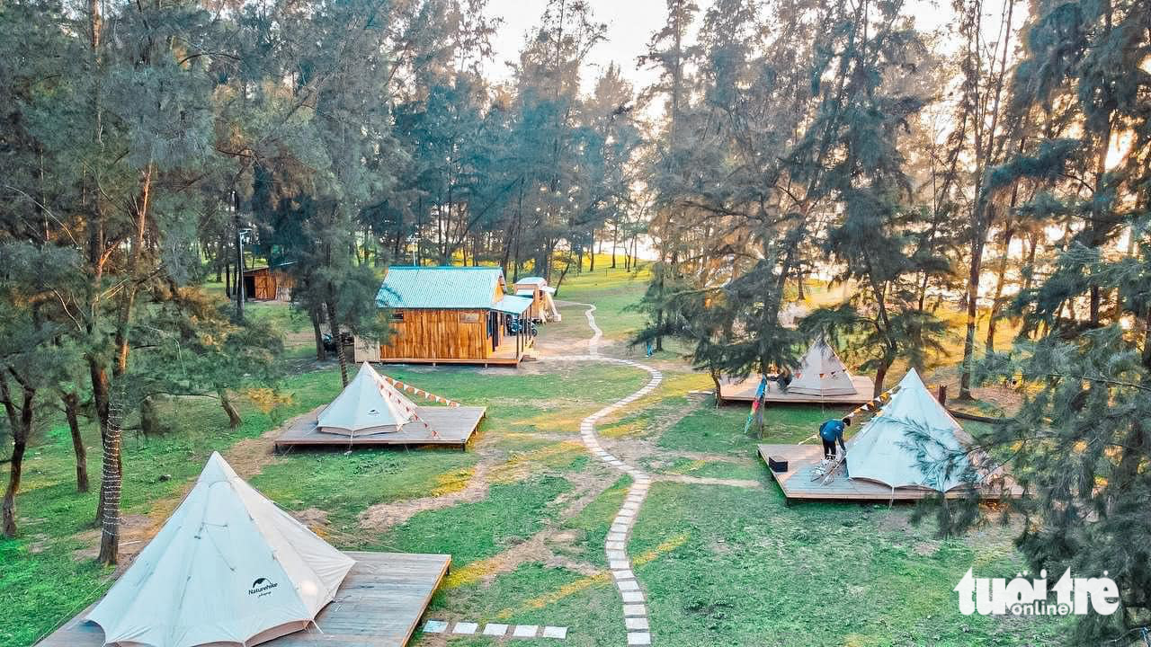 Khu cắm trại Hồng Lam Camping được mở không phép trên đất rừng phi lao do xã Xuân Giang, huyện Nghi Xuân, Hà Tĩnh quản lý - Ảnh: N.THẮNG