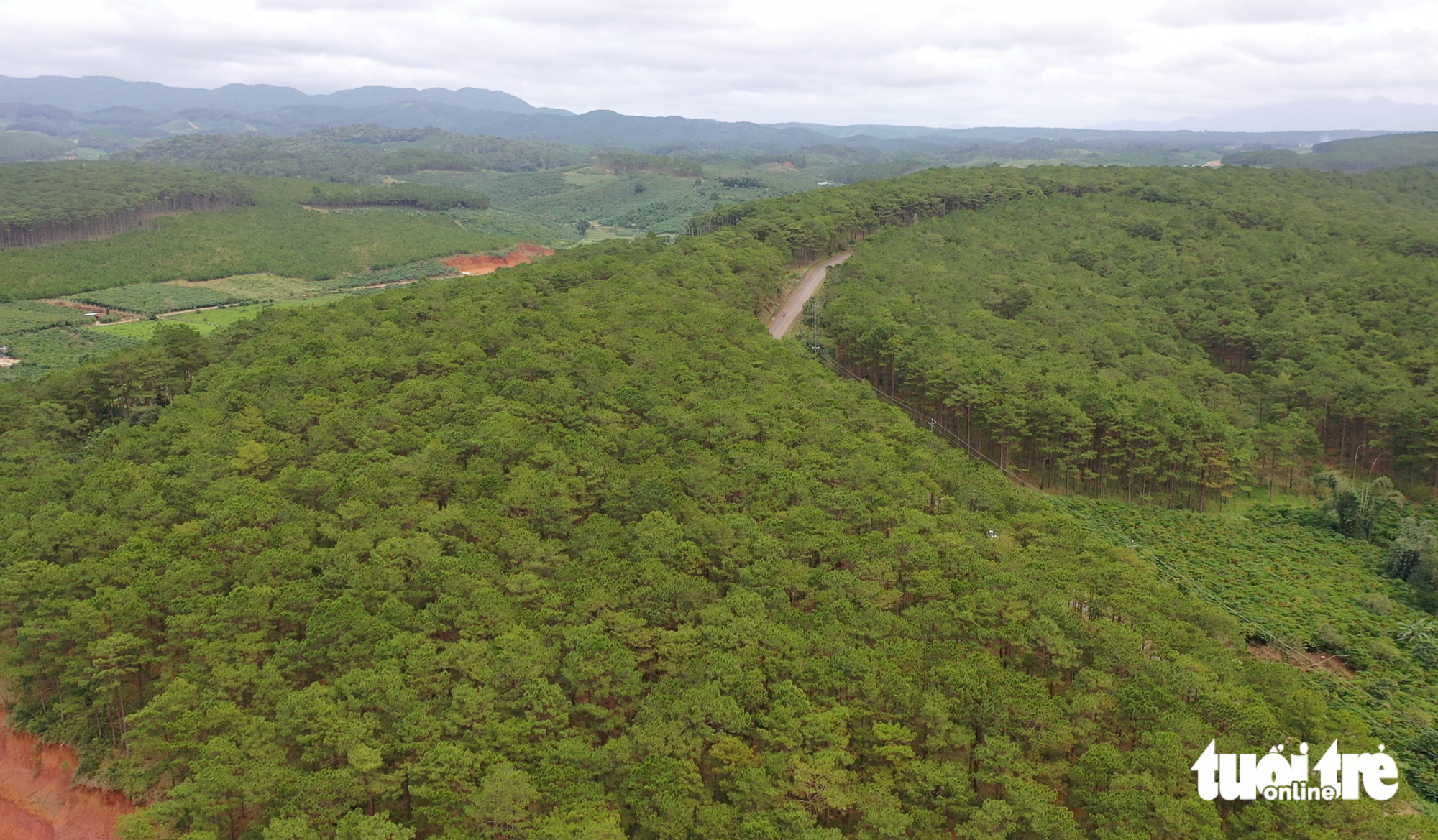 Lâm Đồng sẽ mất gần 5.000ha rừng vì khai thác bauxite tại Tân Rai - Ảnh 2.