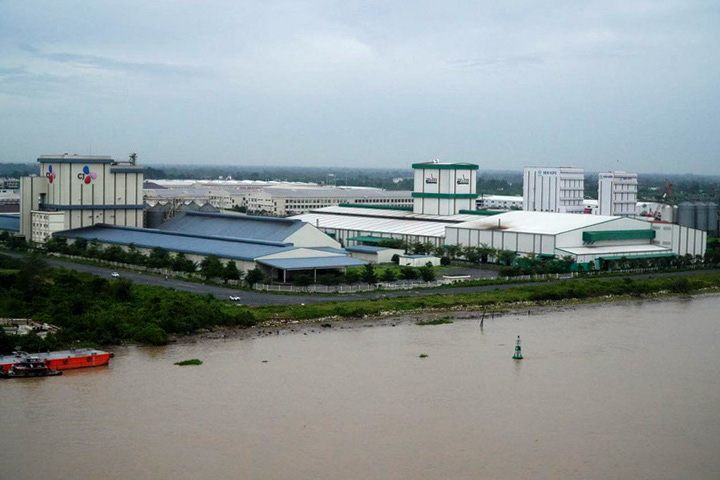 Nhiều vi phạm trong sử dụng đất, xây dựng tại Khu công nghiệp Bình Minh - Ảnh: CHÍ HẠNH