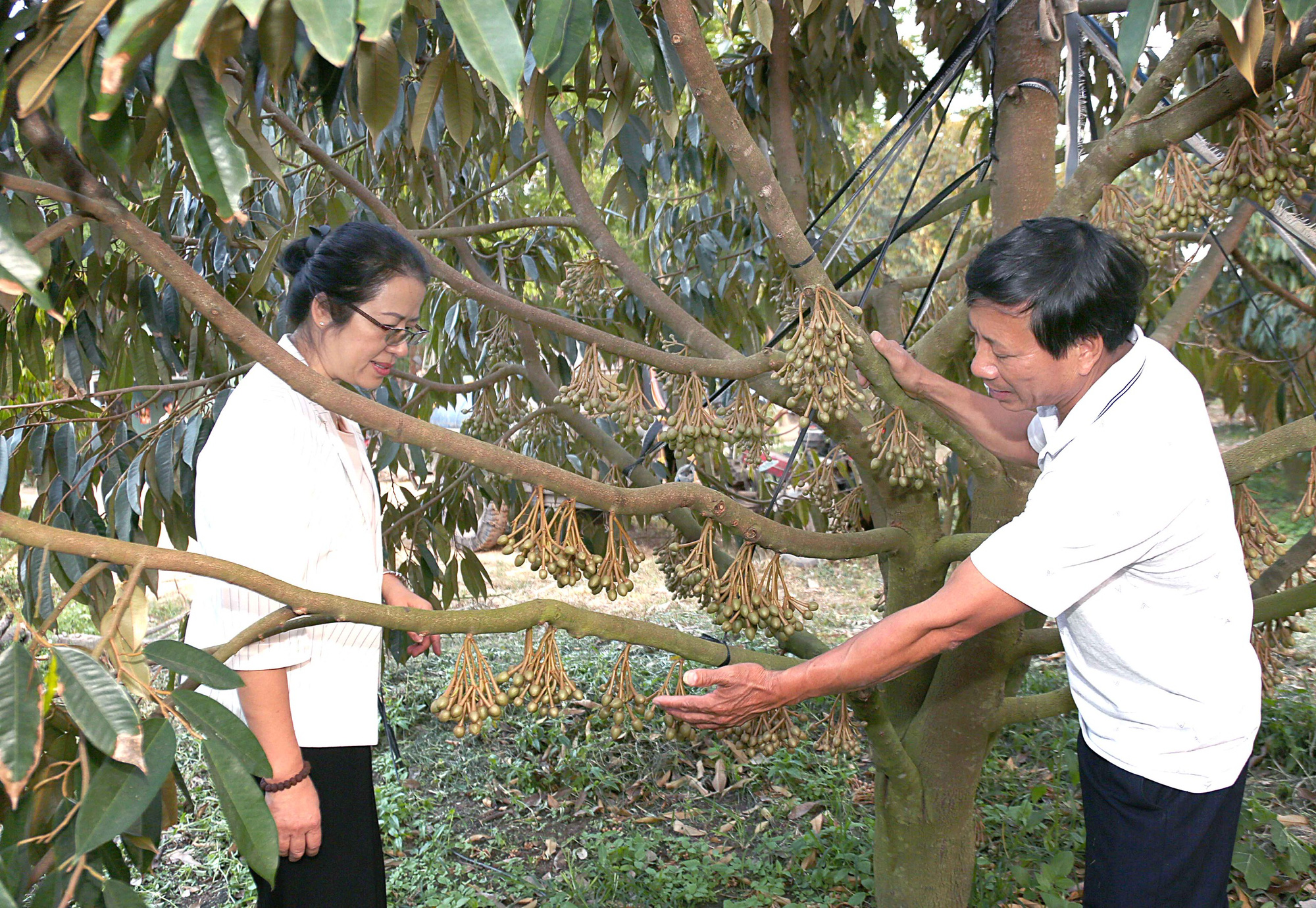 Agribank luôn đồng hành với nông dân - Ảnh 1. Agribank luôn đồng hành với nông dân - Ảnh 1.