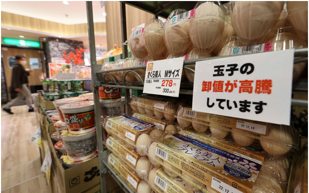 Giá trứng tại Nhật Bản tăng kỷ lục