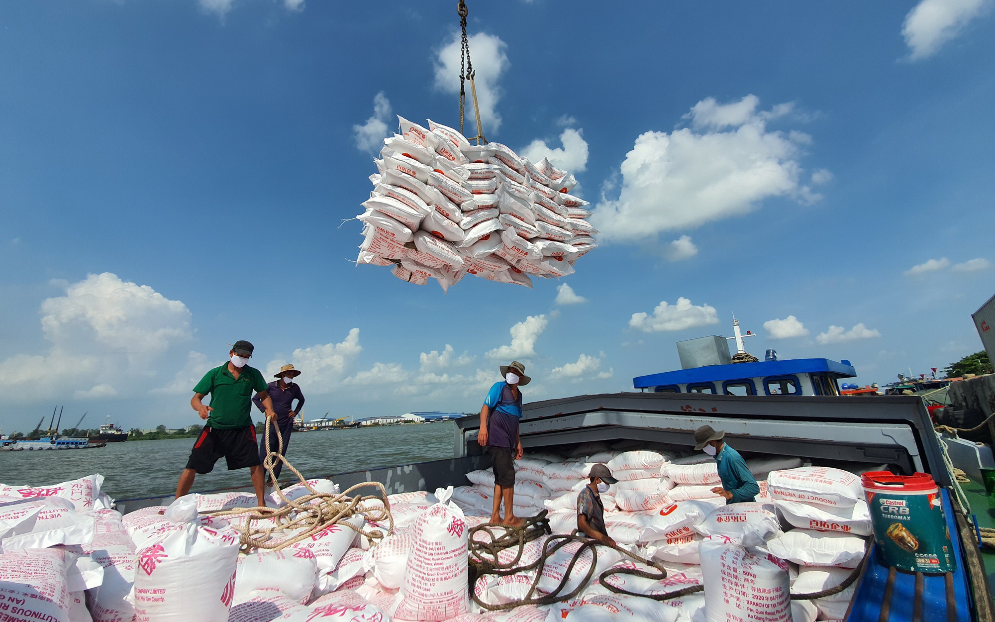 Giá gạo Việt Nam nhiều thời điểm cao nhất thế giới: Có phải nông dân lãi 100%?