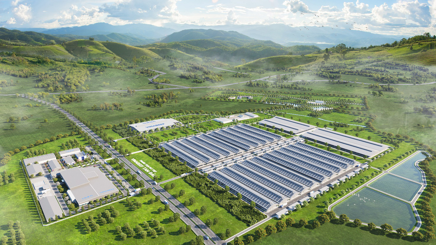 Vilico - công ty con Vinamilk và dấu ấn chuyển mình với dự án bò thịt nghìn tỉ - Ảnh 3. Vilico - công ty con Vinamilk và dấu ấn chuyển mình với dự án bò thịt nghìn tỉ - Ảnh 3.