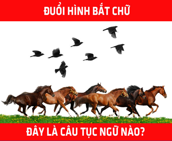 Câu tục ngữ khó nhằn này là gì? - Ảnh 1. Câu tục ngữ khó nhằn này là gì? - Ảnh 1.