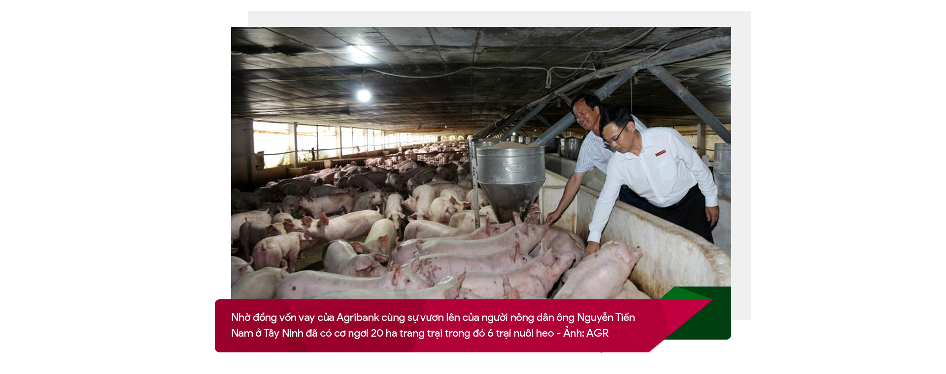 Agribank - điểm tựa vững chắc cho nền nông nghiệp Việt Nam - Ảnh 2.