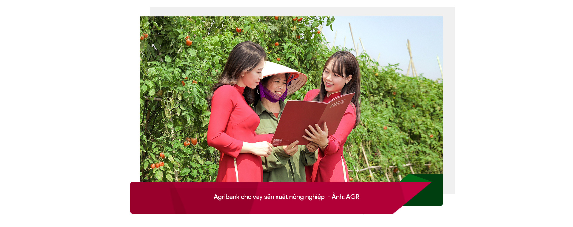 Agribank - điểm tựa vững chắc cho nền nông nghiệp Việt Nam - Ảnh 6.