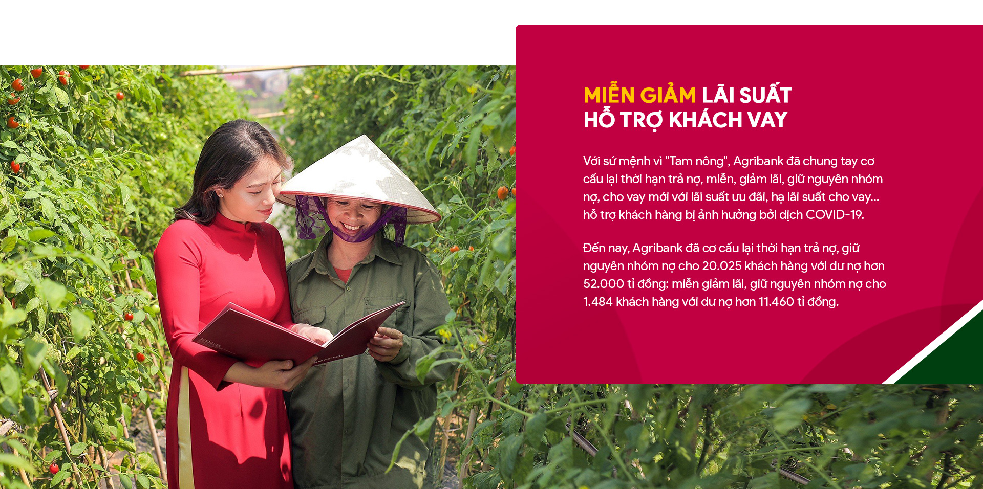 Agribank - điểm tựa vững chắc cho nền nông nghiệp Việt Nam - Ảnh 10.