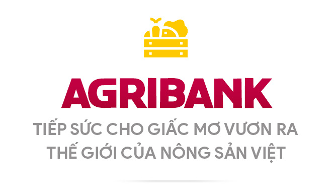 Phóng sự: Agribank chi nhánh Bắc Thanh Hóa – “Dấu ấn 5 năm Kiến tạo nền  móng – Hướng tới tương lai” - YouTube