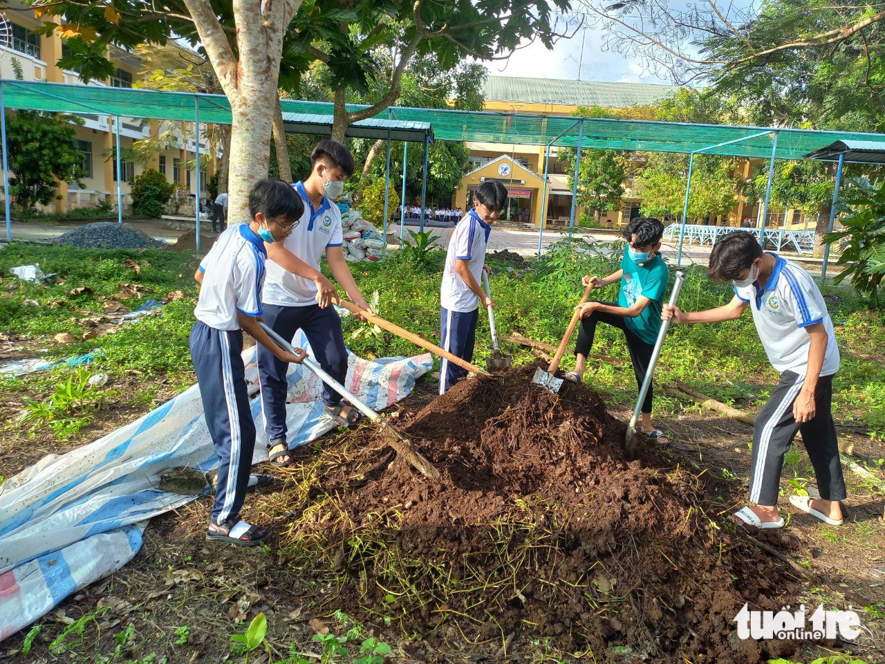 Ươm mầm rau xanh trong trường học tại Đồng Tháp - Ảnh 1.