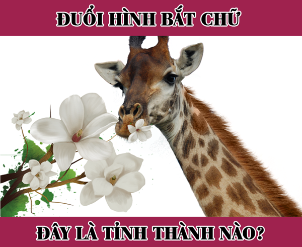 Đuổi hình bắt chữ: Đây là tỉnh thành nào của nước ta? - Ảnh 4. Đuổi hình bắt chữ: Đây là tỉnh thành nào của nước ta? - Ảnh 4.