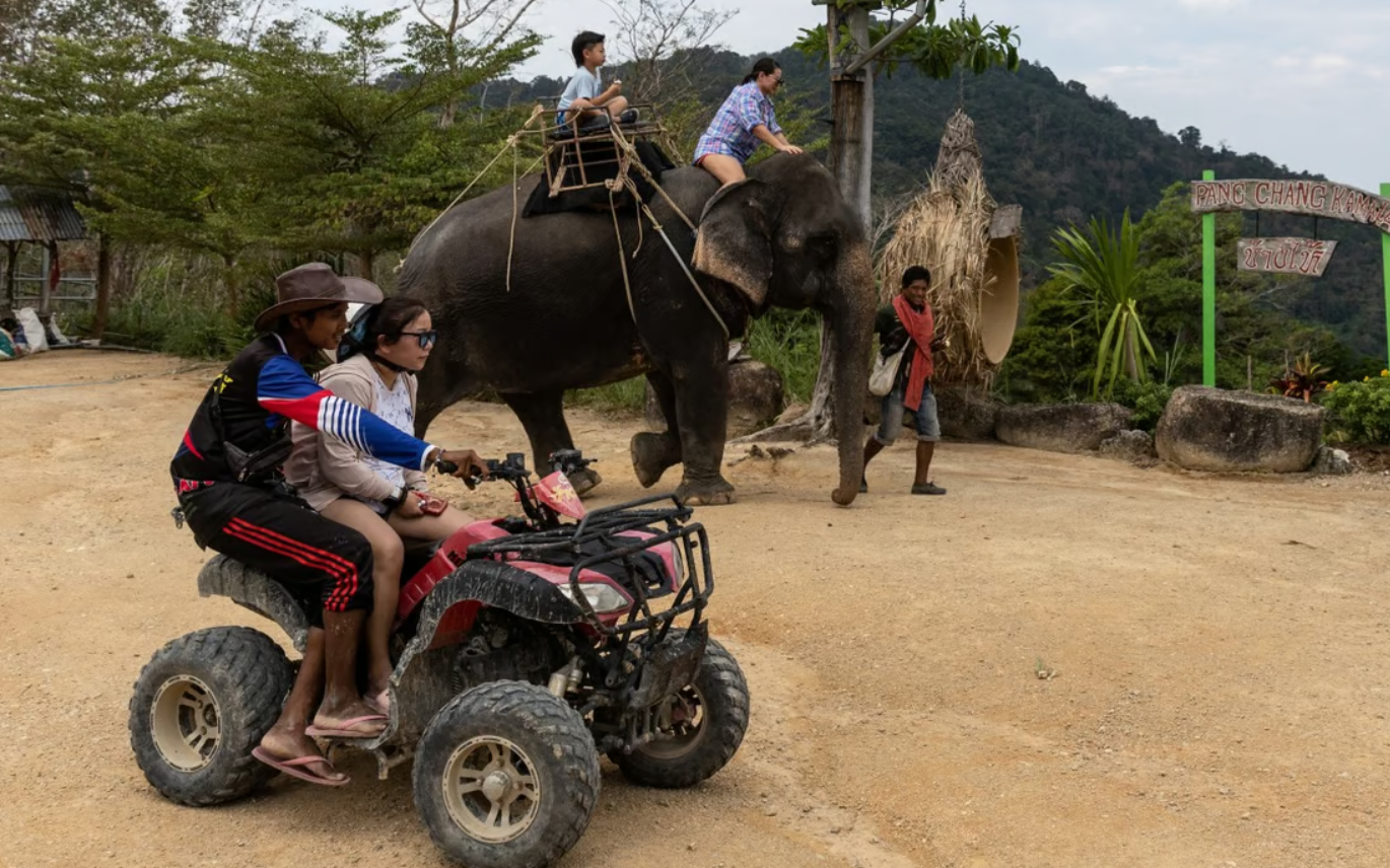 Phuket thành thị trường bất động sản nhà ở có thương hiệu lớn nhất thế giới- Ảnh 3. Người Trung Quốc đổ tiền mua bất động sản ở Phuket làm du lịch