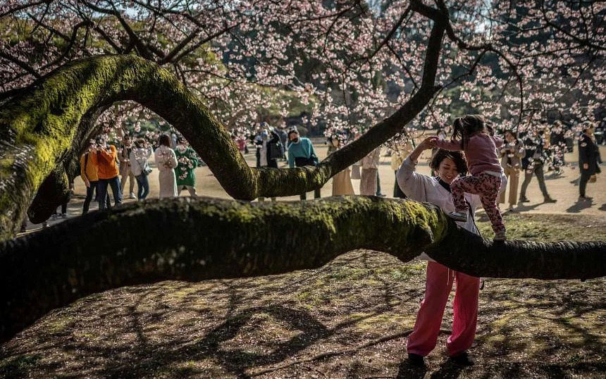 Nhật Bản sẽ "biến mất" nếu không kìm hãm sự suy giảm tỉ lệ sinh